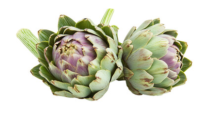 Artichoke Isolated in White background, Full size Vegetable