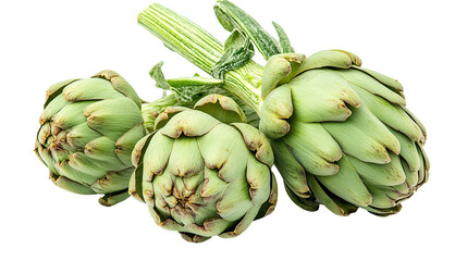 Fototapeta premium Artichoke Isolated in White background, Full size Vegetable