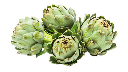 Fototapeta premium Artichoke Isolated in White background, Full size Vegetable
