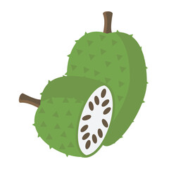  vector illustration of Asian tropical fruits