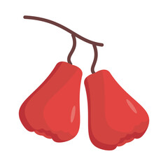  vector illustration of Asian tropical fruits