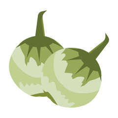  vector illustration of Asian tropical fruits