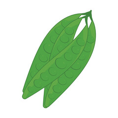  vector illustration of Asian tropical fruits