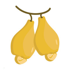  vector illustration of Asian tropical fruits