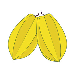  vector illustration of Asian tropical fruits