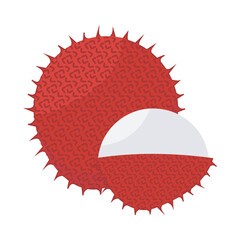  vector illustration of Asian tropical fruits