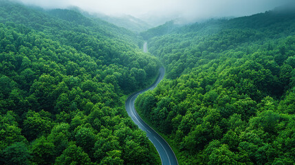 Fototapeta premium A bird's-eye view reveals a serpentine mountain road winding through the heart of a dense, dark green forest, its verdant canopy reaching for the sky like a verdant curtain 
