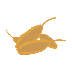  vector illustration of Asian tropical fruits