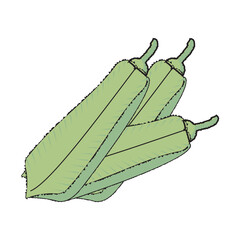  vector illustration of Asian tropical fruits