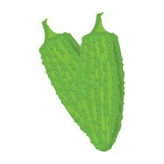  vector illustration of Asian tropical fruits