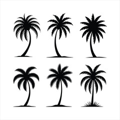 Fototapeta premium Silhouette collection of six palm trees in black and white representing tropical paradise and summer