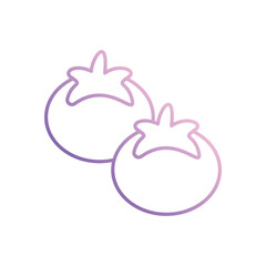 Tomato  icon vector stock illustration