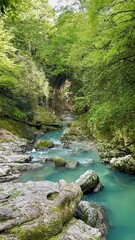 A peaceful river flows through a vibrant forest, surrounded by tall trees and rocky formations. Sunlight filters through the leaves, creating a serene atmosphere that invites exploration