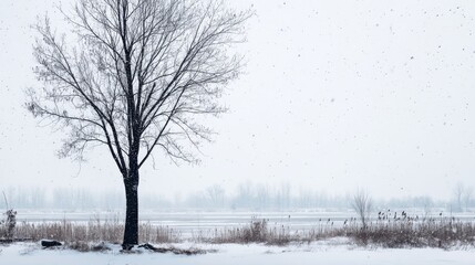 Fototapeta premium A solitary tree stands out in a snowy landscape, surrounded by gently falling snowflakes and a serene, expansive white background, creating a peaceful winter feel