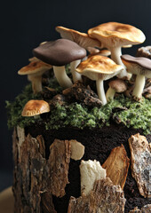 Forest Floor Cake with Edible Moss and Realistic Woodland Texture