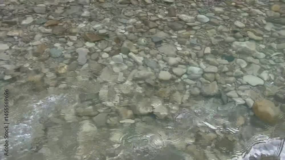 Poster enjoy serene moments by a pristine stream surrounded by smooth pebbles, where the water flows gently