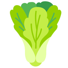 Pak Choi Flat vector