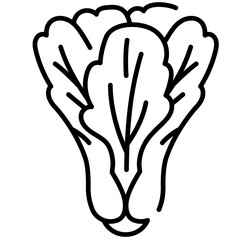 Pak Choi Line Icon