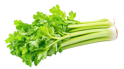 Celery Isolated in White background, Full size Vegetable