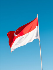 Oman flag waving on the wind