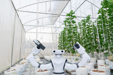 Agricultural industry with artificial intelligence robots concept
