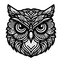 Owl Face © Mohammad