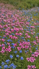 Obraz premium Pink and blue wildflowers bloom in a vibrant field, botany, flowers, stock
