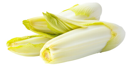 Endive Isolated in White background, Full size Vegetable 