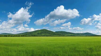 Obraz premium A vast green grass field stretches under a bright blue sky, with fluffy white clouds, offering a perfect escape into nature. 