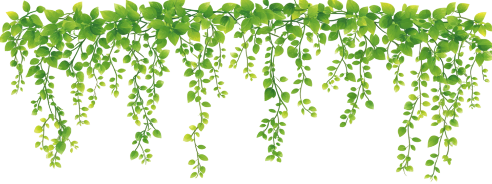 Lush Hanging Greenery