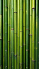 Vertical bamboo reeds create a textured, natural backdrop , garden, vintage, plant