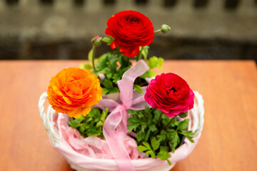 three beautiful buttercup flowers in a pink basket on a fence background, beautiful photo of flowers, red flowers Asian buttercup, flowers in a basket with a pink ribbon