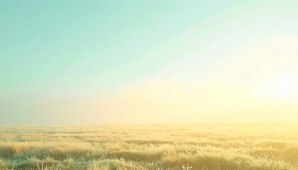 Fototapeta premium Captivating sunrise over golden fields nature landscape tranquil environment wide-angle viewpoint serene concept for mindfulness and inspiration