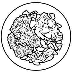 Fattoush Middle Eastern Food