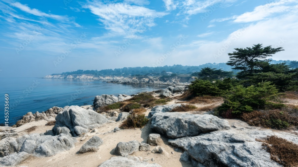 Poster morning light filters gently through fog over coastal cliffs, revealing rugged rocks and sparse shru