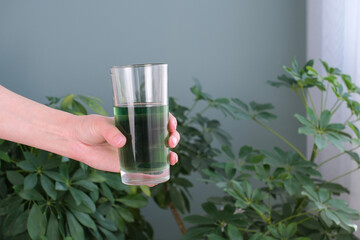A woman holds a glass of chlorophyll