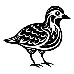 Black Bird Silhouette Vector Illustration - Feathered Animal, Wild Bird Art, Bird Illustration