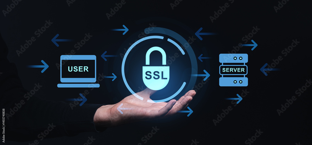 Poster secure ssl data flow between user and server with technology interface graphics.