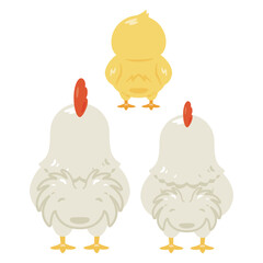 ニワトリの後ろ姿イラストセット