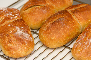Homemade Bread on Rustic Kitchen
