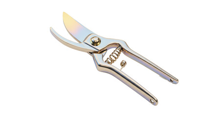 Isolated Silver Pruning Shears Garden Tool