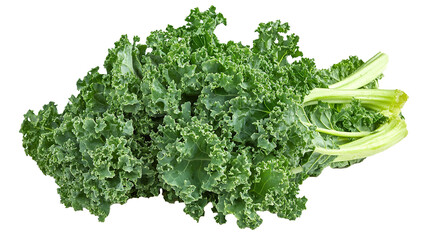Kale Isolated in White background, Full size Vegetable