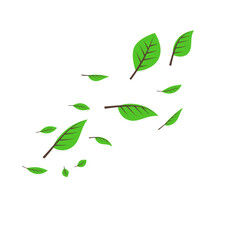 Illustration of Flying Green Leaves