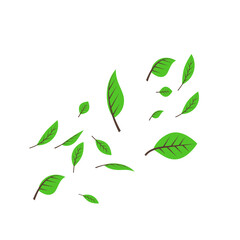 Illustration of Flying Green Leaves