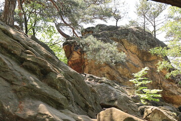 Blick auf die Dörenther Klippen bei Ibbenbüren in Nordrhein-Westfalen