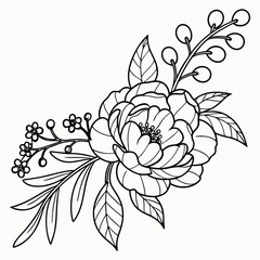 Peony & Berry Sketch Ink Artwork