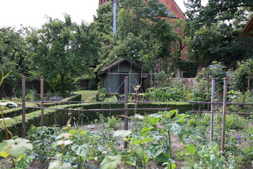 Blick in die Altstadt der Römerstadt Ladenburg in Baden-Württemberg	