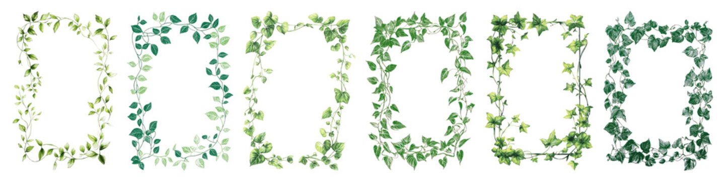 PNG Green leafy frames collection., elements on transparent background