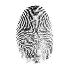 Intricate Fingerprint Pattern: A Unique Mark of Identity , isolated on white background PNG cut out
