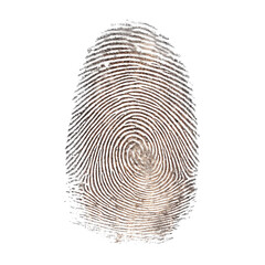 Intricate Fingerprint Pattern: A Unique Mark , isolated on white background PNG cut out